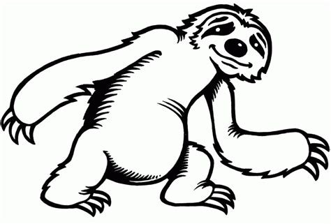 Sloth Clipart In Animal 48 Cliparts