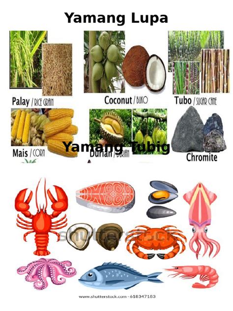 yamang lupa  yamang tubig
