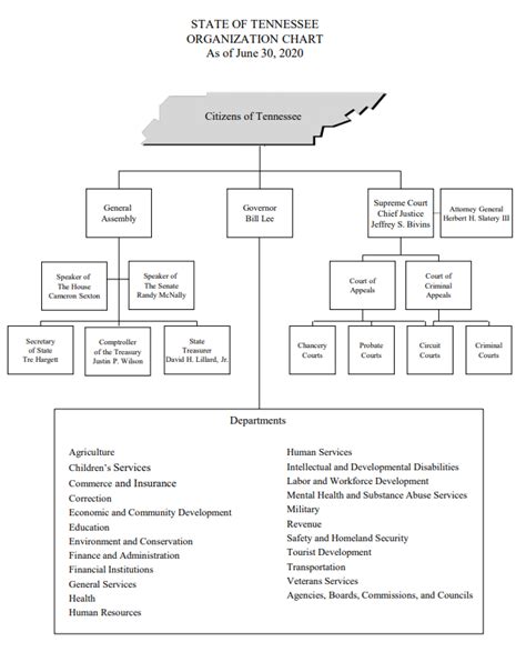 City Government Organizational Chart