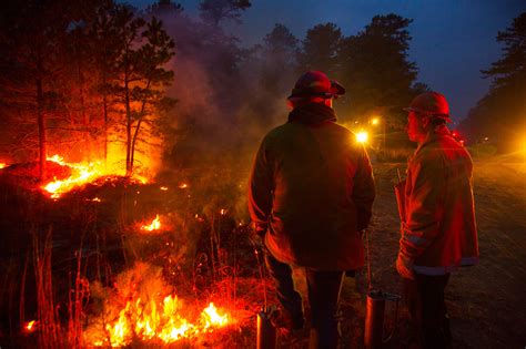 Prescribed Burn Legislation - Protecting the New Jersey Pinelands and ...