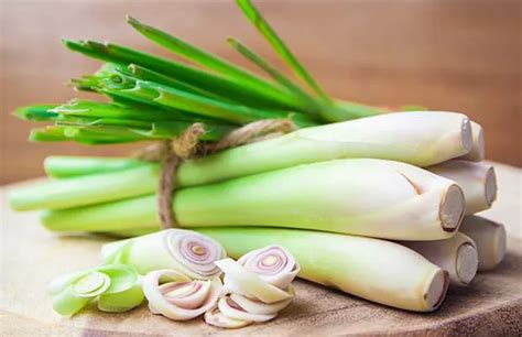 kenali manfaat serai salah satunya sebagai antioksidan