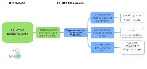 La Lettre Muette Finale Le On Et Exercices Ce