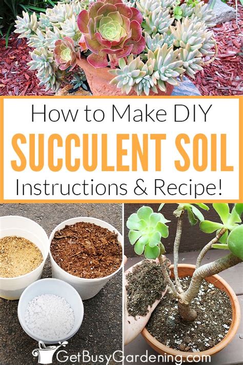 How To Make Your Own Succulent Soil (With Recipe!) - Get Busy Gardening