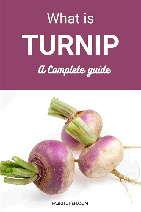 Turnip 101 Nutrition Benefits How To Use Buy Store Turnip A