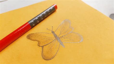 How To Draw A Butterfly For Beginners Easy Butterfly Drawing With