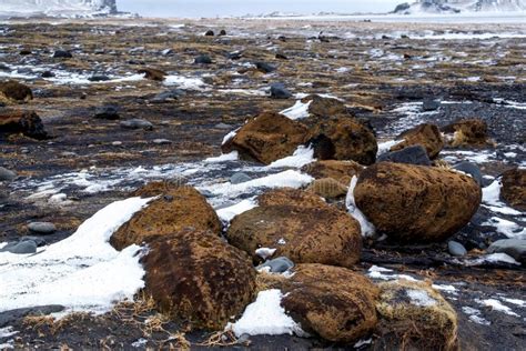 Reynisfjara Volcanic Beach in Winter Stock Image - Image of reynisdrangar, geology: 70470143