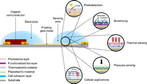 Illustration Of Recent Approaches In Bio Sensing Using Organic