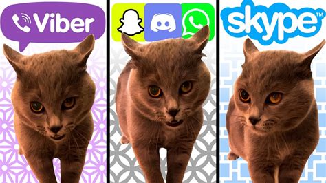 Alugalug Cat But Social Media Ringtones Youtube