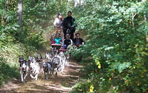 Notre Top Des Activit S Insolites En For T En Ile De France Le Parisien