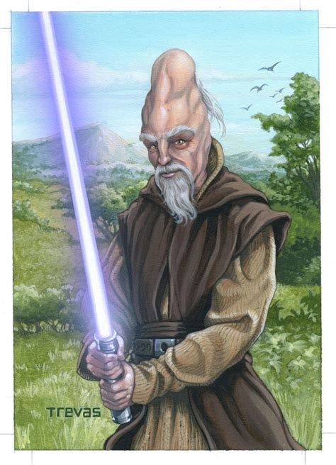 Jedi Master Ki Adi Mundi By Chris Trevas Star Wars Poster Star Wars