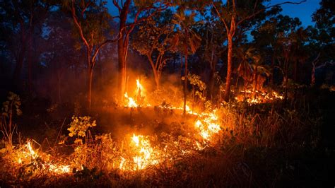 Cultural Fire Management Aboriginal Working Group Coffs Harbour