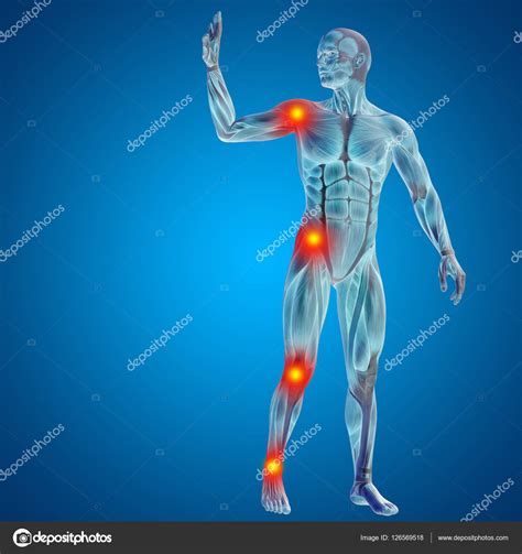 Man With Muscles For Anatomy Stock Photo By Design36 126569518