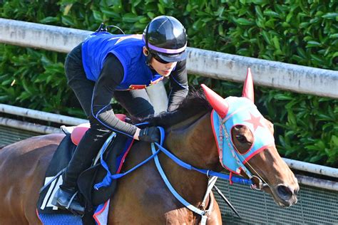 【関東オークス】良血アンデスビエントが川崎に登場！母は同舞台のエンプレス杯覇者アンデスクイーン 競馬ニュース・特集なら東スポ競馬