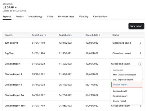 Financial Reporting Dilution Report