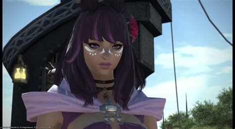 New Hairstyle For Viera Hype Rffxiv