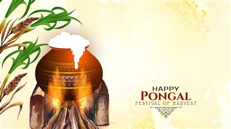 Happy Pongal Best Wishes Images Messages Whatsapp And Facebook