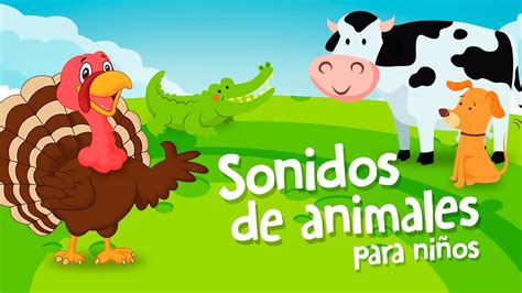 Sonidos De Animales Para NiÑos De 1 A 2 AÑos Nuevo Youtube