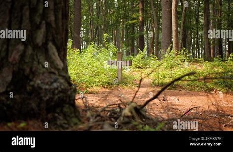 Cross Grave Marker Stock Videos Footage Hd And K Video Clips Alamy