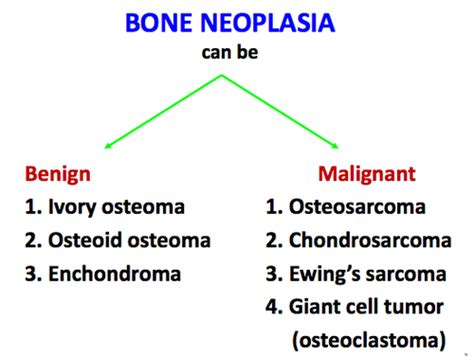 Pathology 19 Diseases Of Bones Tumors Flashcards Quizlet