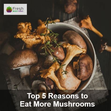 Top 5 Reasons To Eat More Mushrooms Fresh Body Mind