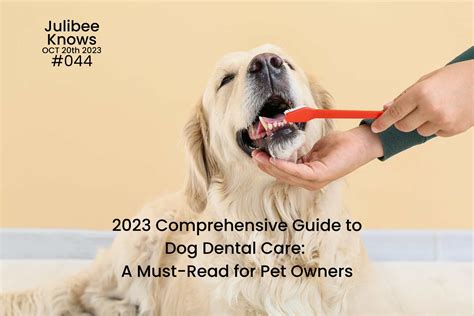 2023 Newest Guide To Dog Dental Care A Must Read For Pet Owners