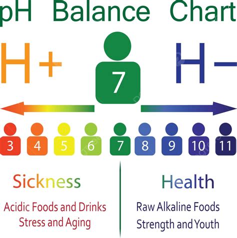 Ph Level Ballance Chart Acidic Banner Healthy Vector, Acidic, Banner, Healthy PNG and Vector ...