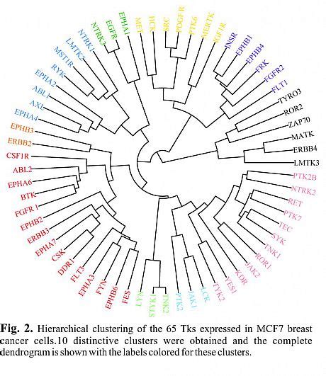 Silac Ms Quantitative Proteomics Research Giamas Lab School Of