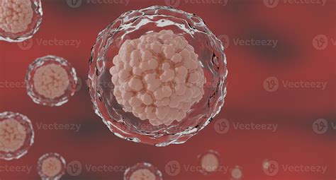 Célula Humana 3d Ou Fundo De Microscópio De Células Tronco Embrionárias