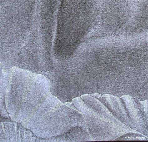 "Sea Wind" Original Graphite Art By Sharla Miller-Baer — Sharla's Art