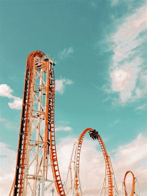 😬😬😬 Summer Aesthetic Roller Coaster Photo Wall Collage