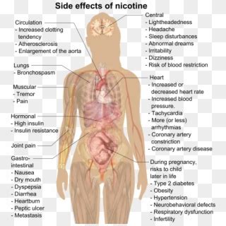 Side Effects Of Nicotine - Effects Of Nicotine, HD Png Download ...