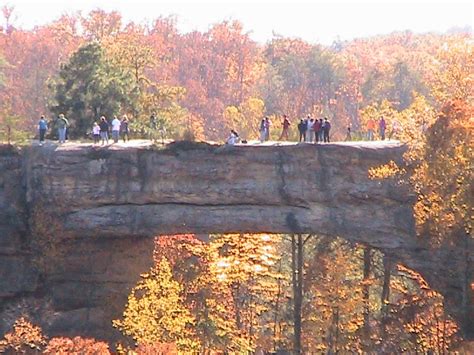 Natural Bridge State Park A Variety Of Excellent Trails Nice Camp Areas Cabins Lodge And A