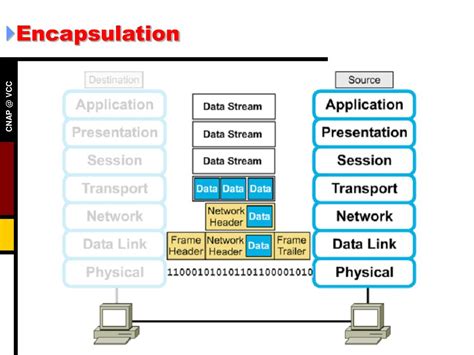 Ppt Semester 1 Chapter 11 Powerpoint Presentation Free Download Id