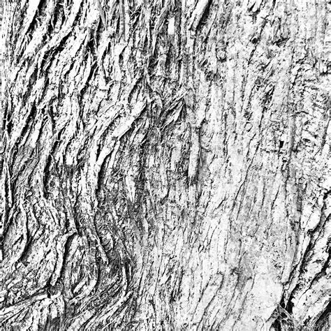 Tree Bark Patterns Melaniebiehleinspiration Biehleadventureclub Creative Process