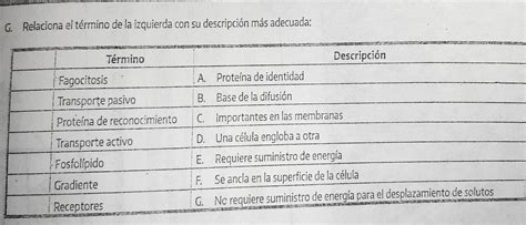 ayuda porfa relaciona el término de la izquierda con su descripción más