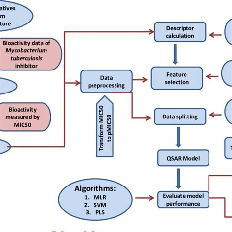 Workflow Of Qsar Model Via Machine Learning A Higher Resolution