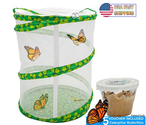 Butterfly Growing Garden Kit Butterfly Habitat Net Cage Collapsible