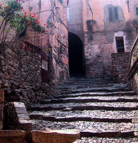 An Alleyway With Stone Steps And Flowers Growing On It