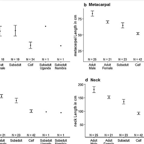 Summary Of Morphometric Analyses For Key Anatomical Features Across