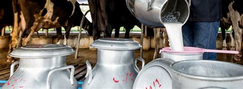 Sustainable Dairy Partnership Ready For Industry Implementation — Sai