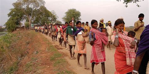 Eviction Of Tribals Forced Displacement And Its Links With Poor Health