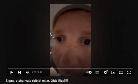 sigma ohio skibidi rizz : r/youngpeopleyoutube