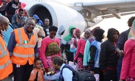 Nigerian Girl Trafficked In Lebanon Finally Released To Fg Daily Post