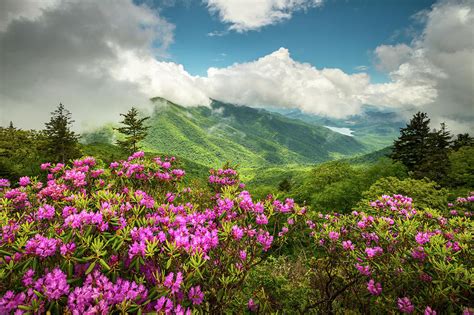 Appalachian Mountains Spring Flowers Scenic Landscape Asheville North ...