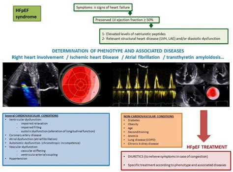 Heart Failure With Normal Ejection Fraction Treatment