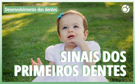 Desenvolvimento Dos Dentes Sinais Dos Primeiros Dentes Finotti