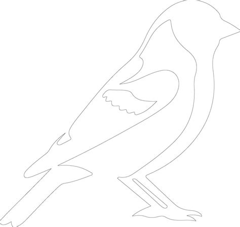 Goldfinch Outline Silhouette 38494458 Vector Art At Vecteezy