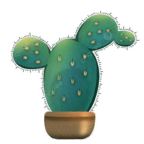 Cactus Pot White Transparent Hand Painted Cactus Potted Illustration