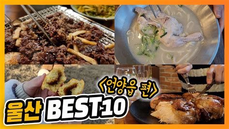 울산 언양읍 최고의 맛집여행지를 찾아서 Best 10 Youtube