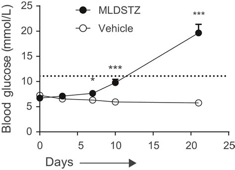 Male Cd Mice Were Injected I P With Stz Mg Kg Day Or L